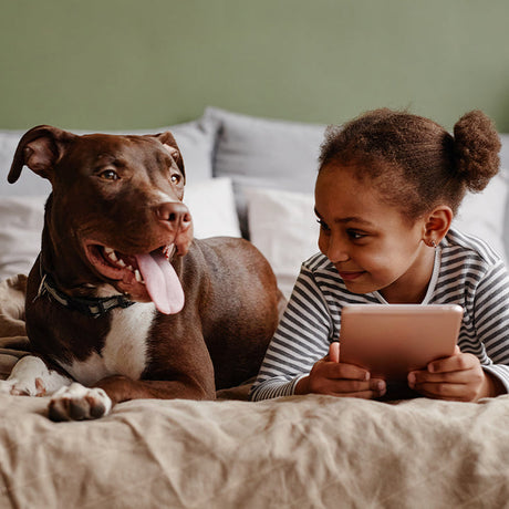 Pet Fire Safety Tips